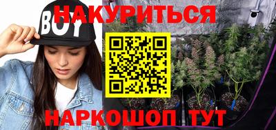 винт Новозыбков