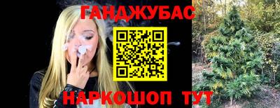 винт Новозыбков