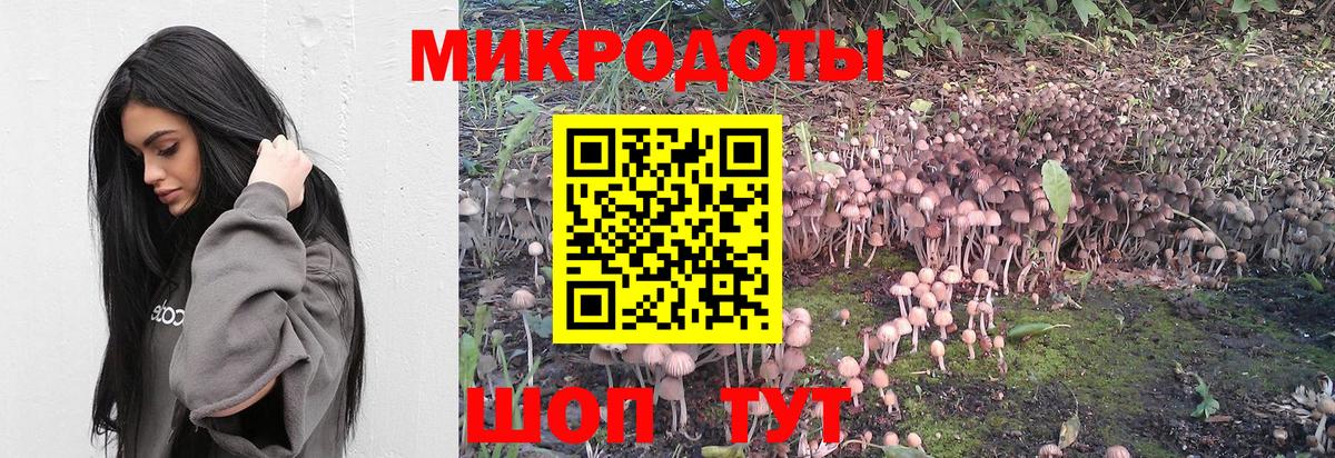 Галлюциногенные грибы мицелий Ачхой-Мартан