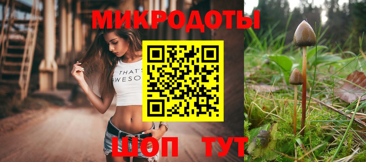 Ачхой-Мартан  Псилоцибиновые грибы Magic Shrooms  хочу   Вход с VPN 